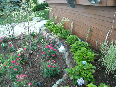 Bloomfield Michigan Landscaping - Plantings