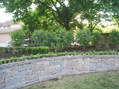stone retaining wall and landscaping