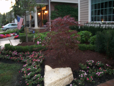 Birmingham Michigan After Landscape Design