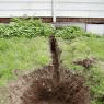 yard drainage michigan
