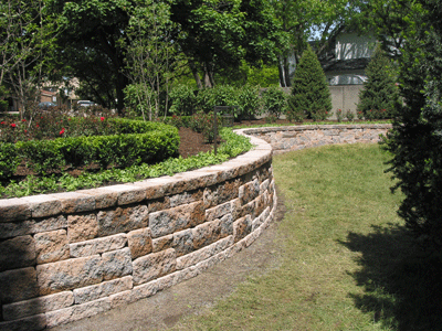 view of retaining wall and plants