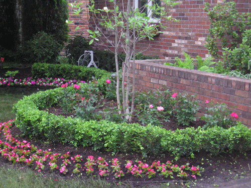 Troy Michigan Annual and Perennial plantings