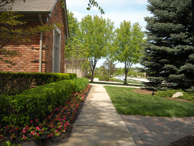 Troy Michigan Landscaped Walkway